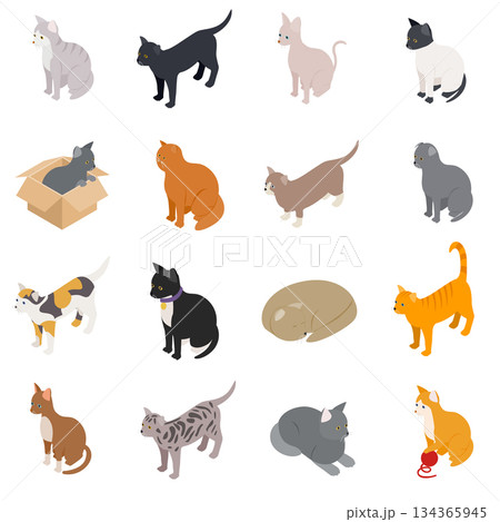Cat icons set, isometric 3d style Cat icons set, isometric 3d style 134365945