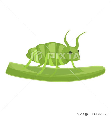 Green aphid walking on a stem illustration 134365970