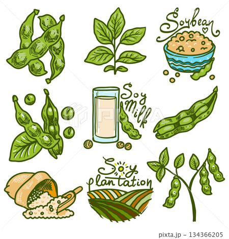 Soybean icons set, hand drawn style 134366205