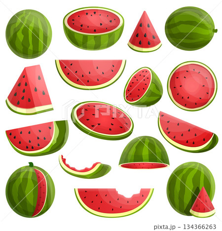 Watermelon icons set, cartoon style 134366263