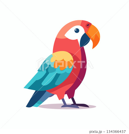 Colorful parrot illustration standing on white background in cartoon style 134366437