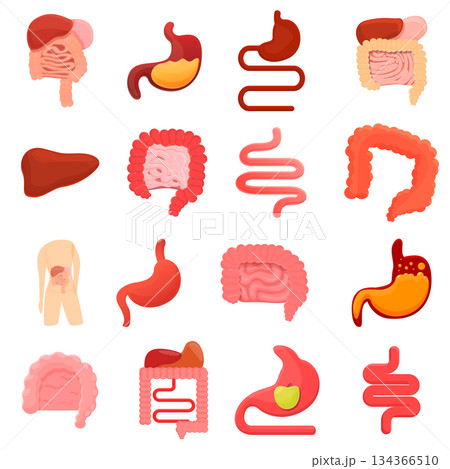 Digestion icons set, cartoon style Digestion icons set, cartoon style 134366510