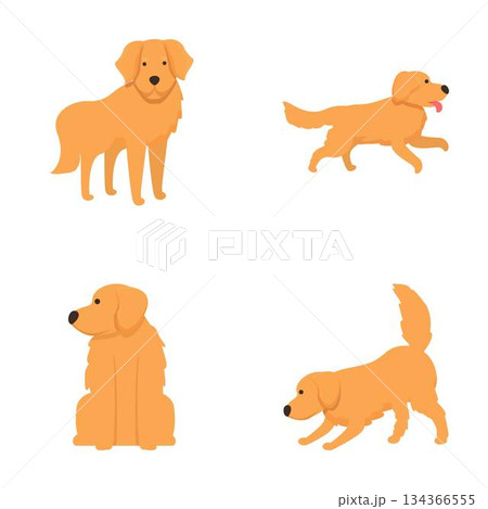 Golden retriever dog illustrations in various poses 134366555