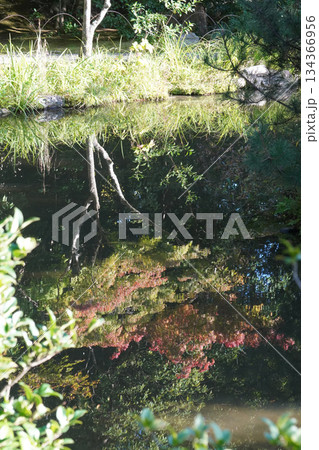 京都等持院の庭園の風景 京都等持院の庭園の風景 134366956