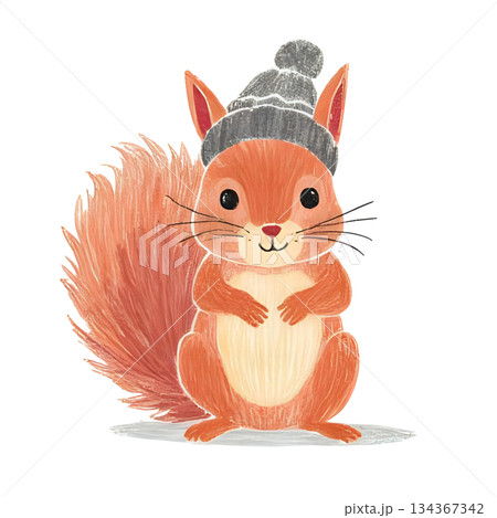 リスがニット帽をかぶっている色鉛筆のイラスト 134367342