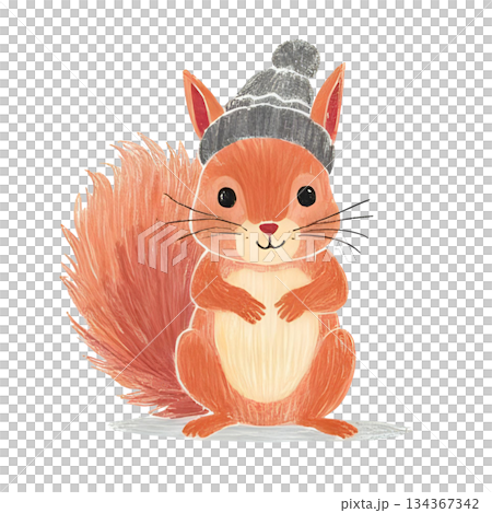用色鉛筆畫的戴著針織帽的松鼠插圖 134367342