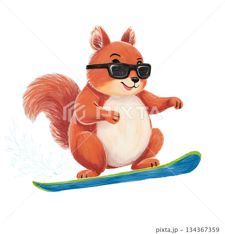 リスがサングラスをかけてスノーボードをしている 134367359