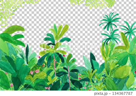 手描きイラスト 生い茂る植物 手描きイラスト 生い茂る植物 134367787