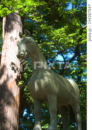 青森市　稲荷神社 134367847