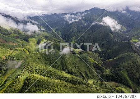 Landscape of Morning Mist with Mountain Layer. mountain ridge and clouds in rural jungle bush forest Landscape of Morning Mist with Mountain Layer. mountain ridge and clouds in rural jungle bush forest 134367887