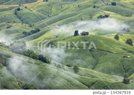 Landscape of Morning Mist with Mountain Layer. mountain ridge and clouds in rural jungle bush forest 134367919