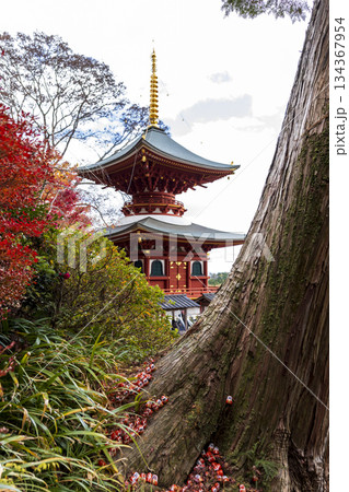 Katsuoji Temple with beautiful foliage in autumn in Kyoto, Japan Katsuoji Temple with beautiful foliage in autumn in Kyoto, Japan 134367954