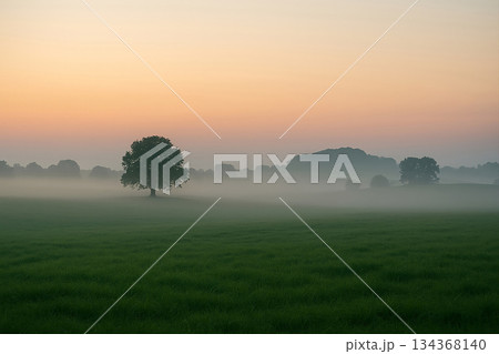 すばらしい風景写真 134368140