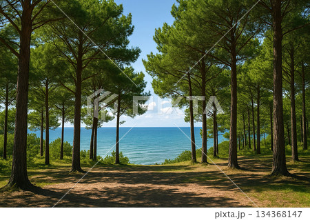 海の見える公園 134368147