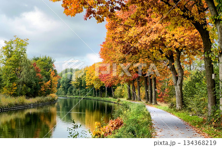 Scenic park walkway with colorful foliage and serene reflections Scenic park walkway with colorful foliage and serene reflections 134368219