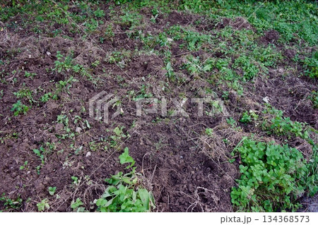 猪が餌探しで掘り返した畑の隅 134368573