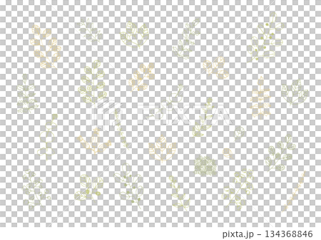 簡單的植物手繪插圖 2 簡單的植物手繪插圖 2 134368846