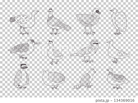 手繪鳥類插圖集 手繪鳥類插圖集 134369016