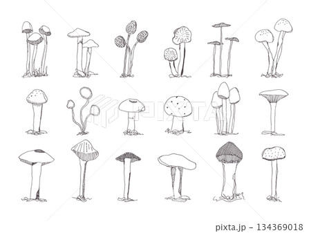 キノコの手描きイラストセット 134369018