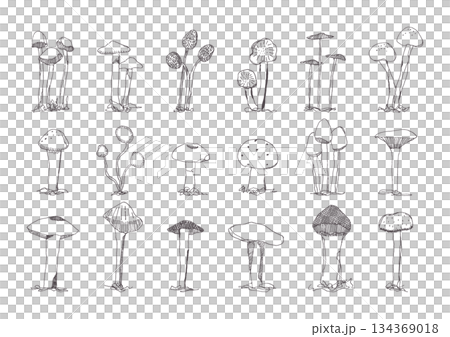 キノコの手描きイラストセット 134369018