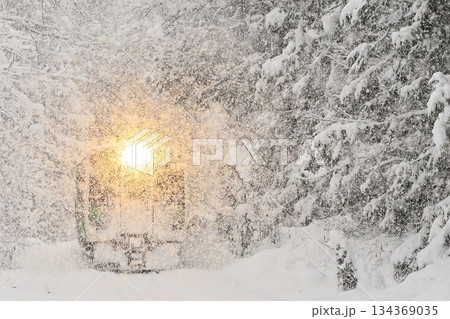 猛吹雪の只見線 134369035