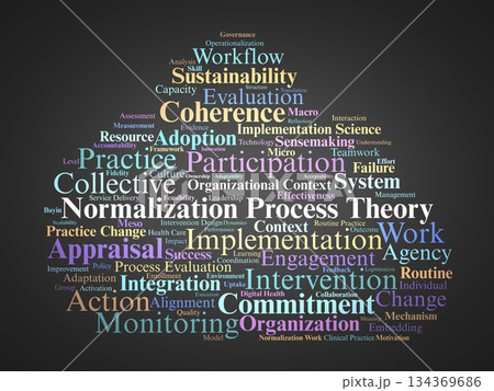 Normalization Process Theory Word Cloud. Core Concepts of Implementation and Practice Change 134369686