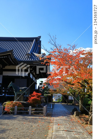 明日香村　紅葉の橘寺 134369727