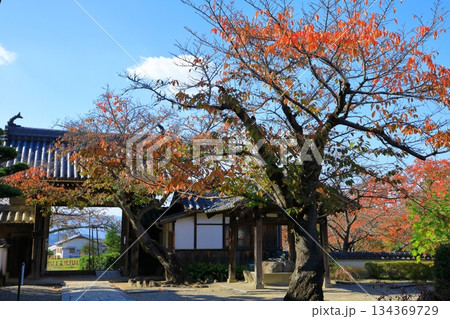 明日香村 紅葉の橘寺 明日香村 紅葉の橘寺 134369729