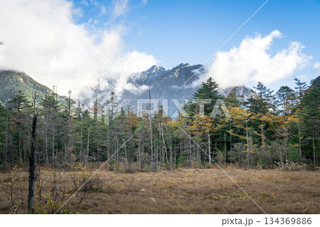 上高地の秋　焼岳　長野県と岐阜県 134369886