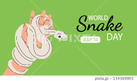 Minimalistic cute banner for World Snake Day at 16th of July with cartoon green snake, typography. Holiday concept for website, poster, background, card to raise awareness about importance of snakes. Minimalistic cute banner for World Snake Day at 16th of July with cartoon green snake, typography. Holiday concept for website, poster, background, card to raise awareness about importance of snakes. 134369903
