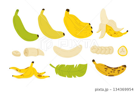 Banana ripeness stages. Different organic fruit peel color from green to brown, organic rotten and fresh ripe fruit. Vegetarian healthy food vector set of banana ripen and rot stage illustration Banana ripeness stages. Different organic fruit peel color from green to brown, organic rotten and fresh ripe fruit. Vegetarian healthy food vector set of banana ripen and rot stage illustration 134369954