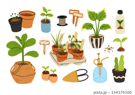 Vector set of gardening pots and plants in pots isolated on white background. Bundle of home plants and repotting. Big set of garden elements. 134370100