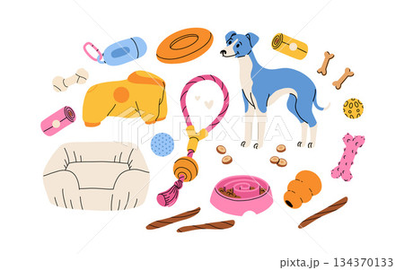 Dog accessories and toys supply set for puppy shop. Veterinary food product and care goods, dog clothes and beds. vector illustration isolated on white background Dog accessories and toys supply set for puppy shop. Veterinary food product and care goods, dog clothes and beds. vector illustration isolated on white background 134370133