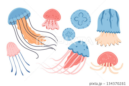Set of various Cartoon jellyfish flat style. Medusa vector illustration. Modern flat illustration Jellyfish isolated on white background. Set of various Cartoon jellyfish flat style. Medusa vector illustration. Modern flat illustration Jellyfish isolated on white background. 134370281