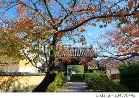 明日香村　紅葉の橘寺 134370448