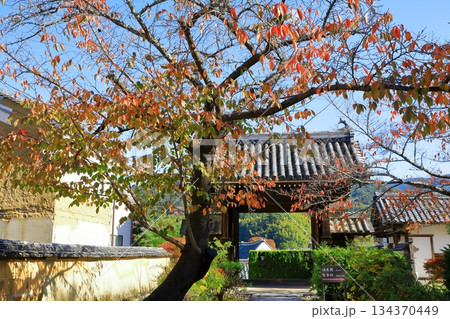 明日香村 紅葉の橘寺 明日香村 紅葉の橘寺 134370449