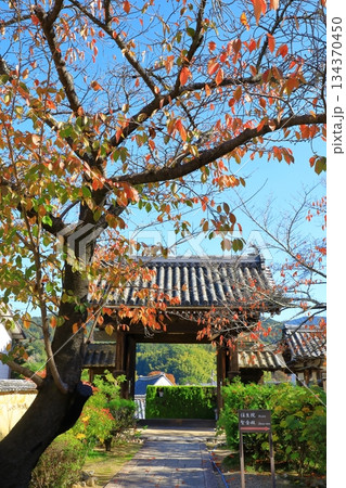 明日香村　紅葉の橘寺 134370450