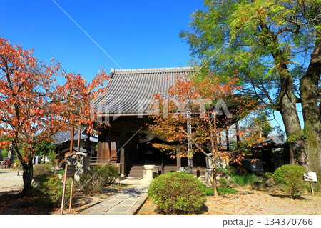 明日香村 紅葉の橘寺 明日香村 紅葉の橘寺 134370766