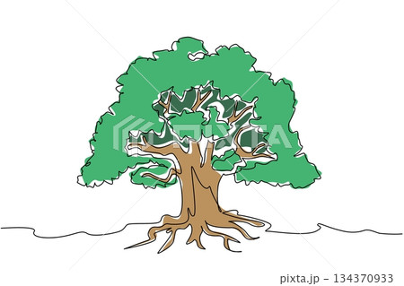Single continuous line drawing large tree with shady leaves and branched roots. Fertile soil helps trees grow until they are shady. Dense banyan tree. Tree Concept. One line design vector illustration Single continuous line drawing large tree with shady leaves and branched roots. Fertile soil helps trees grow until they are shady. Dense banyan tree. Tree Concept. One line design vector illustration 134370933