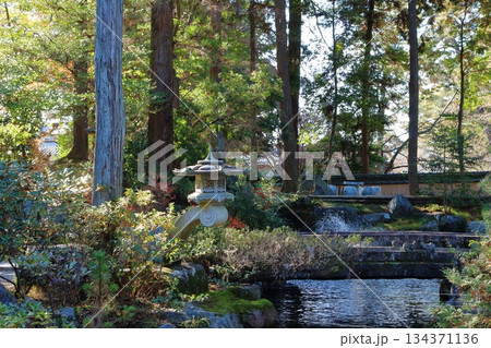 神社の境内にある庭園の風景 134371136