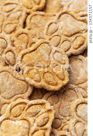 Homemade paw print dog treats close up pile Homemade paw print dog treats close up pile 134371157