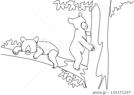 Continuous one line drawing 2 black bear cubs climbs tree with different activities. Looking for food and resting in the treetops. National Black Bear Day. Single line draw design vector illustration Continuous one line drawing 2 black bear cubs climbs tree with different activities. Looking for food and resting in the treetops. National Black Bear Day. Single line draw design vector illustration 134371297