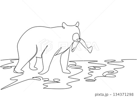 Single continuous line drawing black bear walking on rocky river while its mouth is biting a fish. Mother bringing fish food for children. National Black Bear Day. One line design vector illustration Single continuous line drawing black bear walking on rocky river while its mouth is biting a fish. Mother bringing fish food for children. National Black Bear Day. One line design vector illustration 134371298