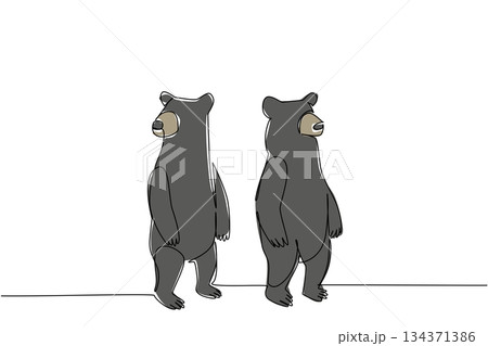 Single line drawing of two black bears standing upright, depicted in a minimal colored style to highlight wildlife and conservation for National Black Bear Day, nature concept. Single line drawing of two black bears standing upright, depicted in a minimal colored style to highlight wildlife and conservation for National Black Bear Day, nature concept. 134371386