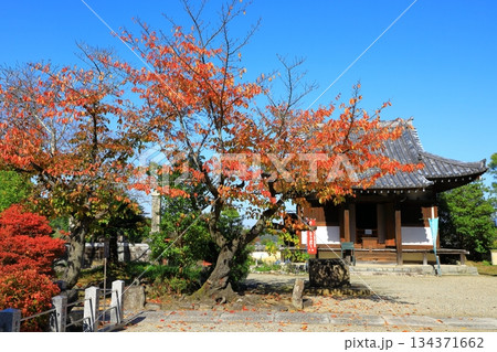 明日香村 紅葉の橘寺 明日香村 紅葉の橘寺 134371662