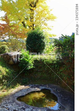 明日香村　紅葉の橘寺 134371694