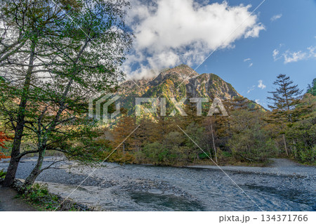 上高地の秋　穂高連峰　初冠雪　カラマツ林 134371766