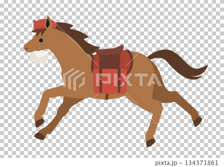 Vector illustration of a cute horse in a postman style running with a letter in its mouth 134371861