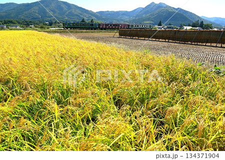 実りの秋と釜石線のディーゼルカー（快速はまゆり） 134371904