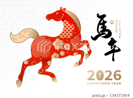 年賀状 年賀はがき 年賀ハガキ 134371954